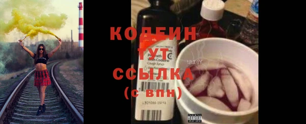 шишки Осинники