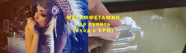 шишки Осинники