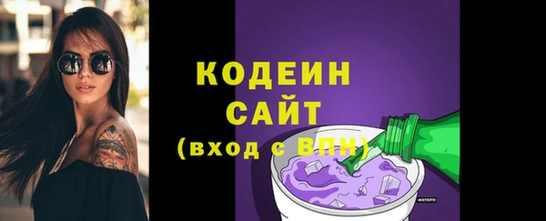 винт Ельня