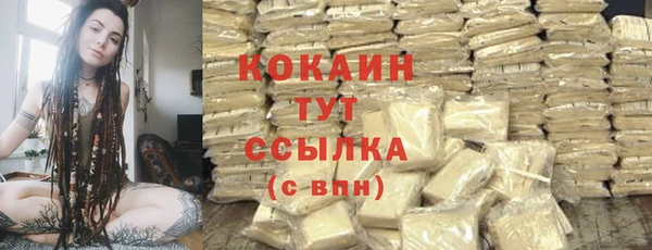 шишки Осинники