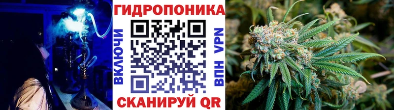 Шишки марихуана семена  Богородицк 